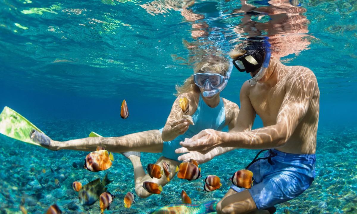 Pareja buceando con peces naranjas