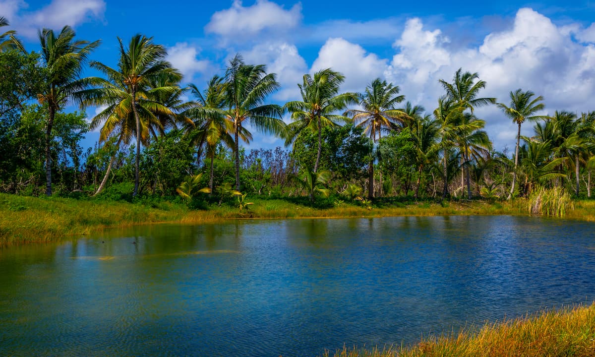Laguna Bávaro Punta Cana
