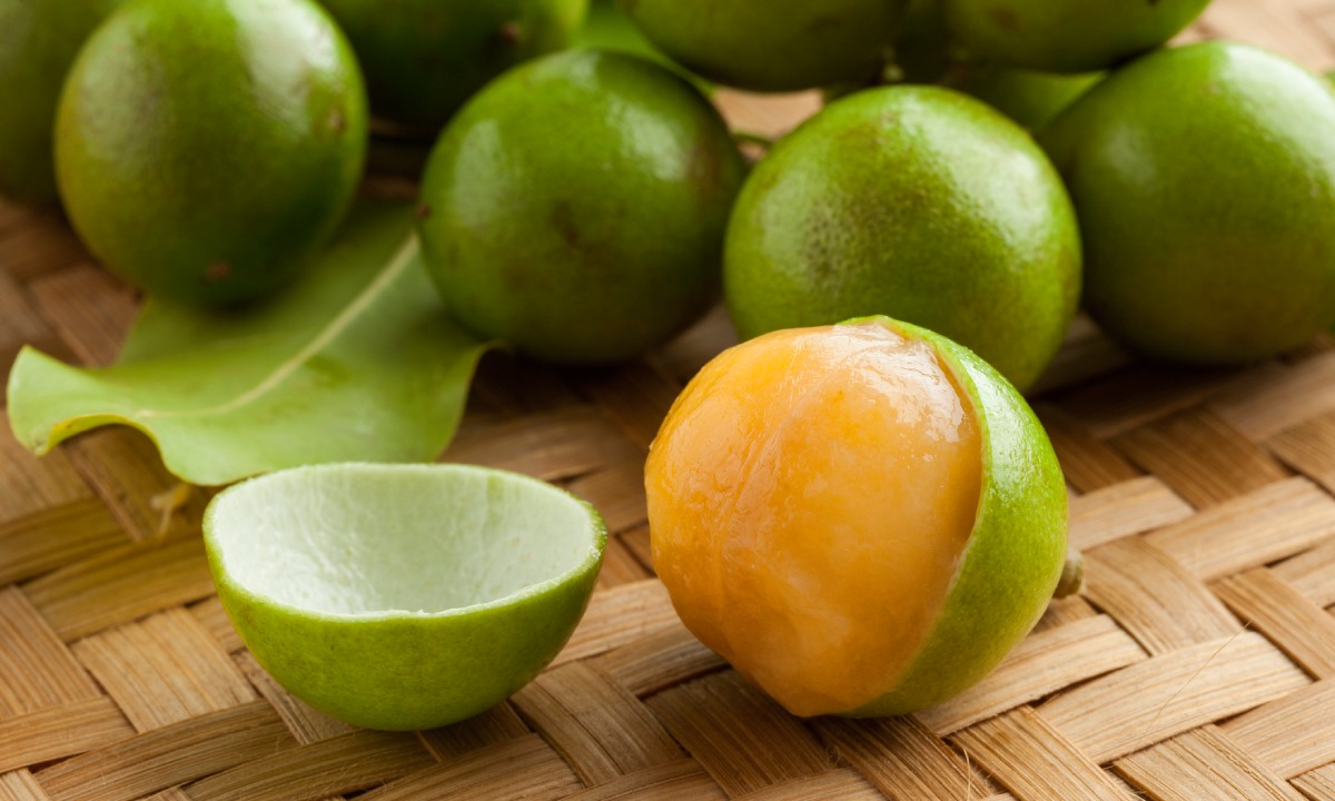 Limoncillo dominicano o mamoncillo