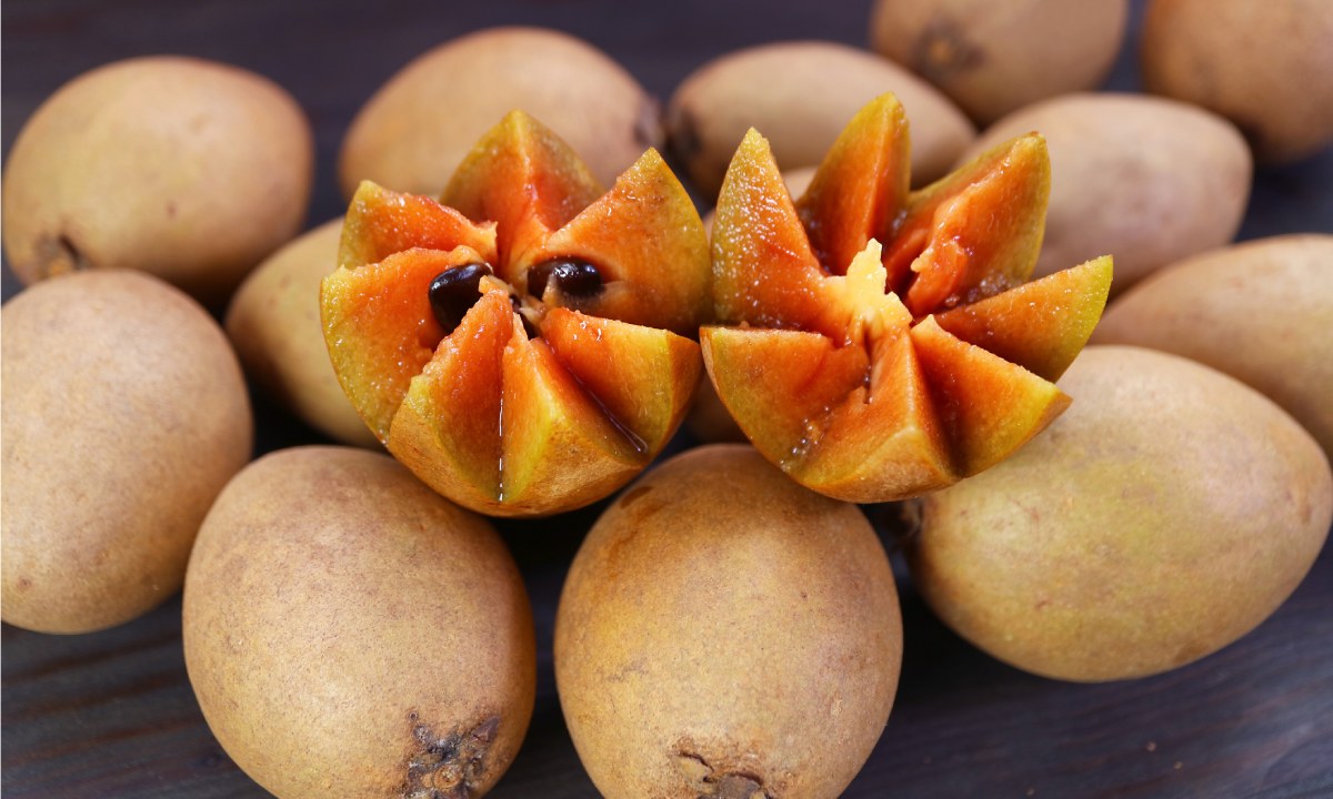 Chicozapote, fruta exótica mexicana