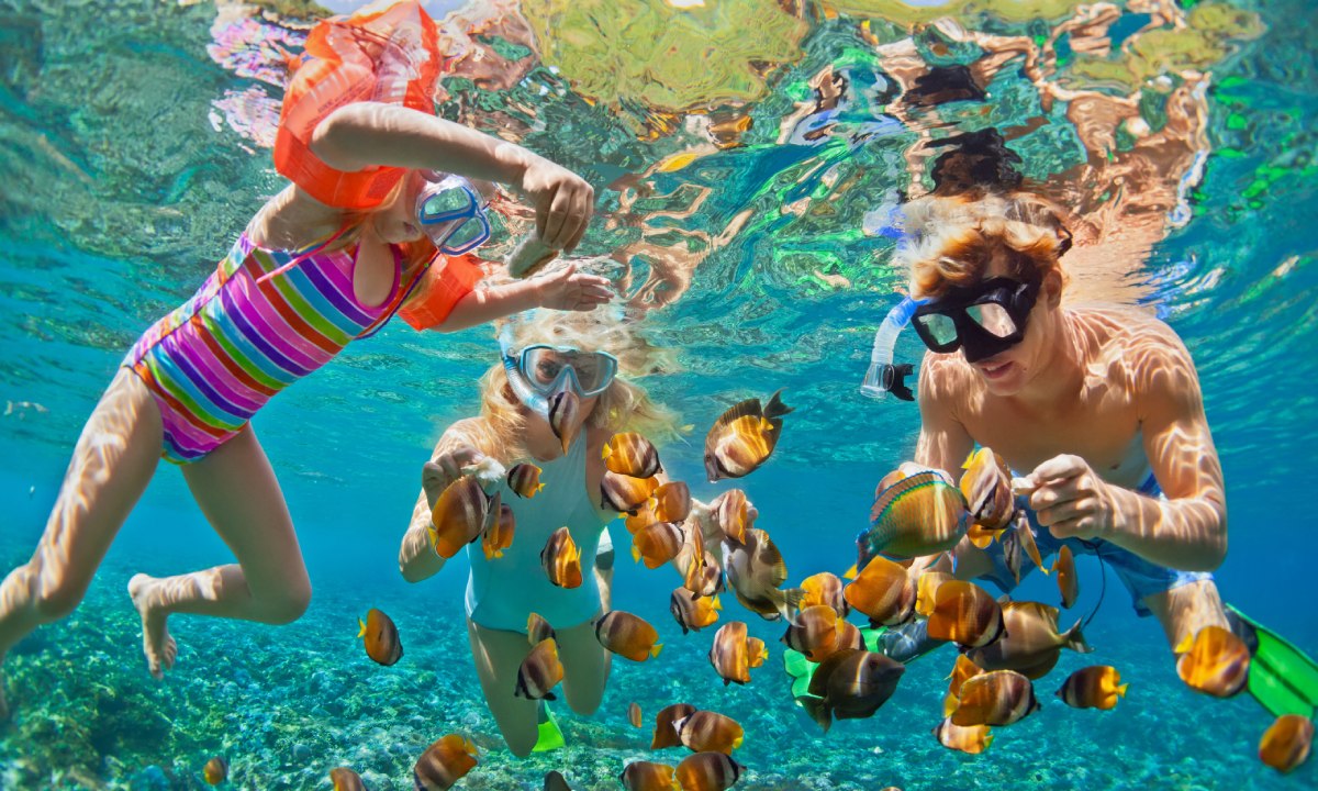 Padre con hijas haciendo snorkel con peces payaso