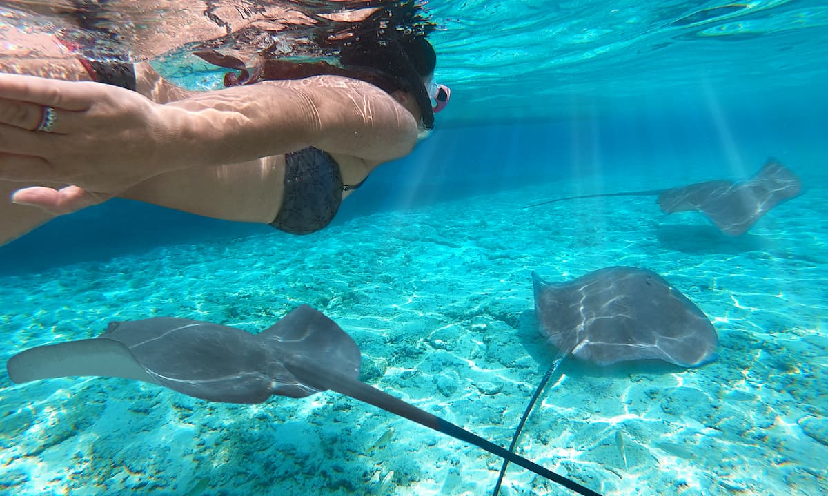 Nada entre tiburones y mantarrayas