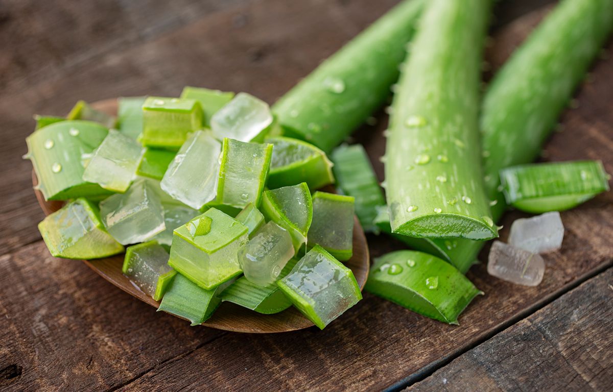 Sliced Aloe Vera plant width=