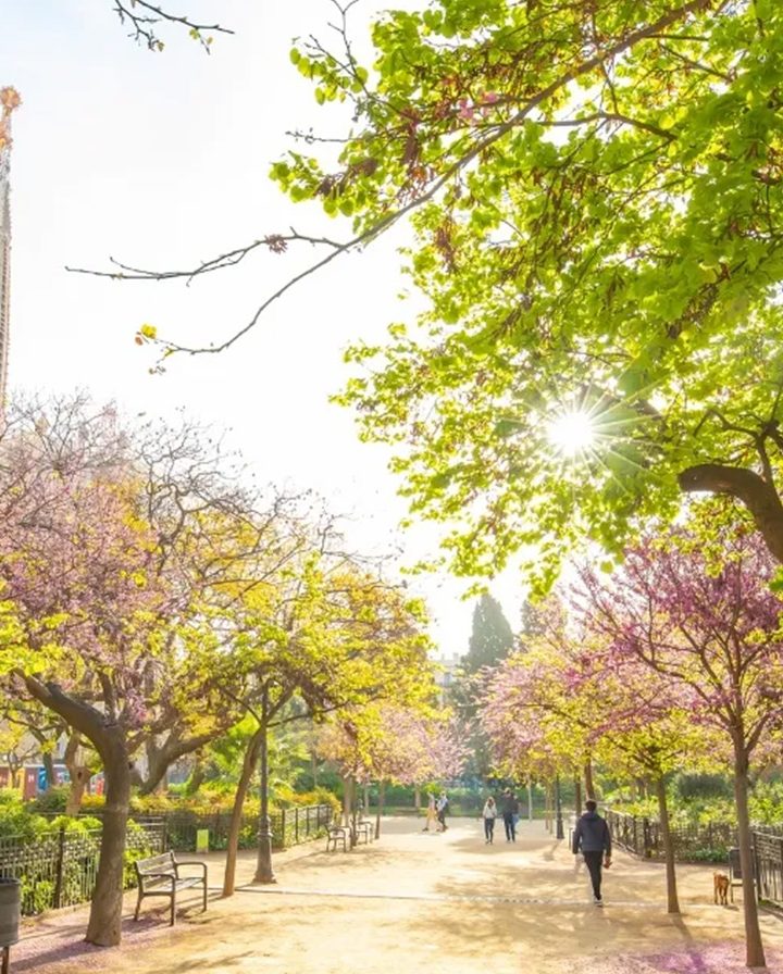 Vive una primavera única en Barcelona: buen tiempo, planes irresistibles y dos hoteles para disfrutarla al máximo