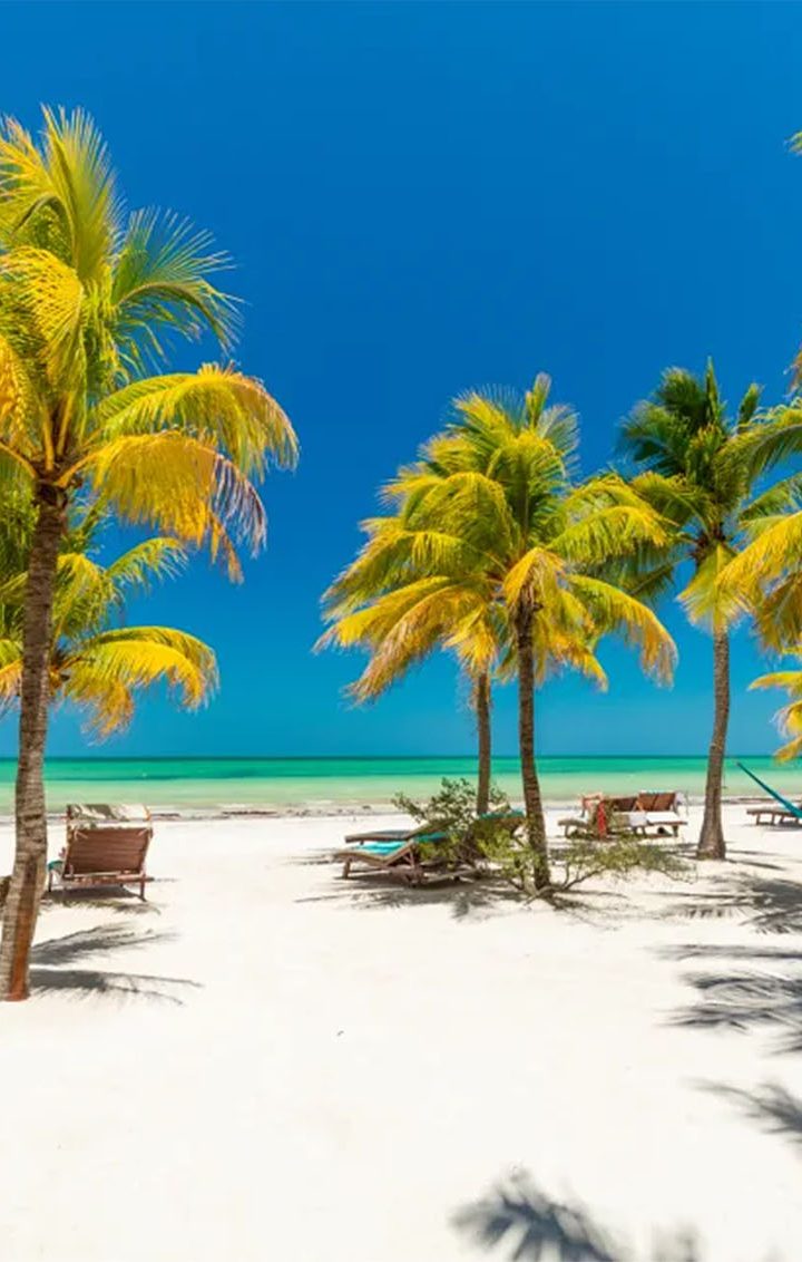 Explore Holbox: nature, beach, and flamingos