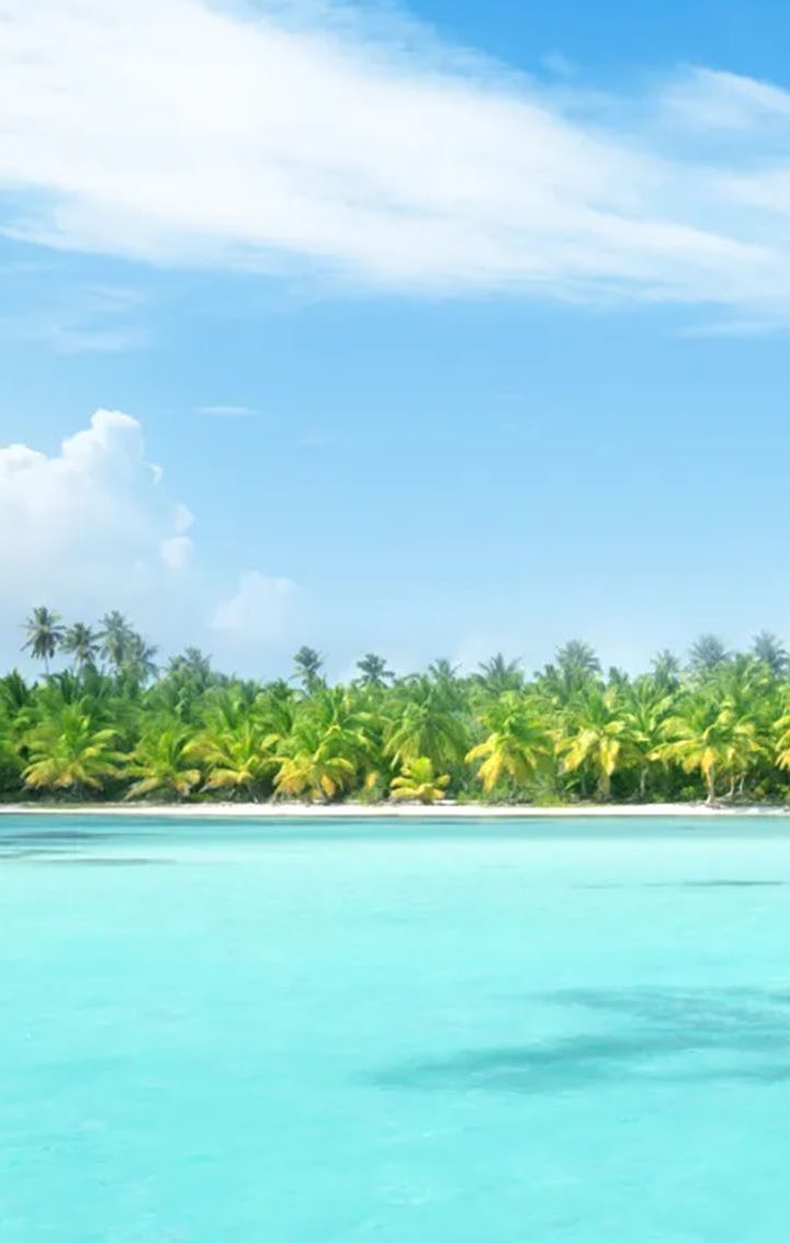 Isla Catalina: Das Paradies, das Ihren Instagram-Account in Szene setzt