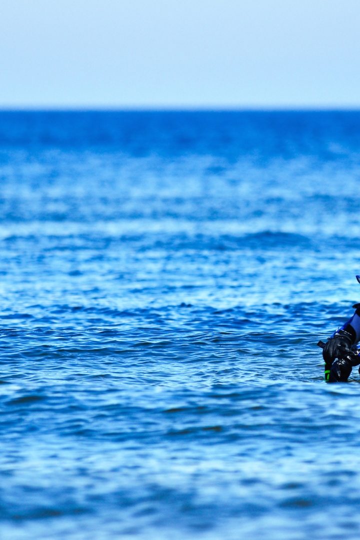 Discover Where to Go Scuba Diving in the Canary Islands