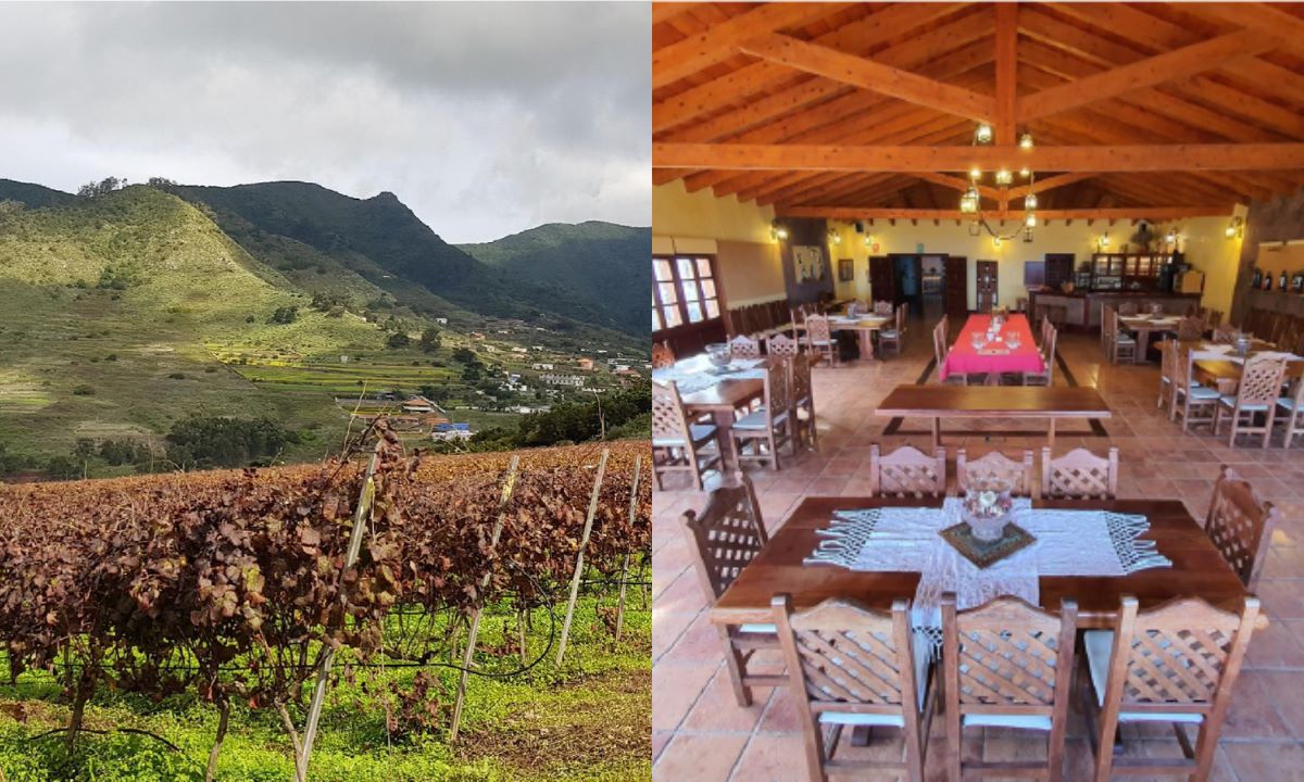 Vineyards (left) and traditional dining room (right) at Bodega El Lomo in Tegueste, Tenerife