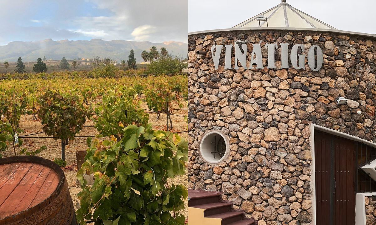 Vineyards (left) and stone façade (right) of Bodegas Viñátigo in Tenerife