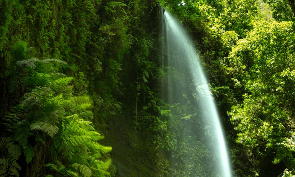 Cascada de Los Tilos