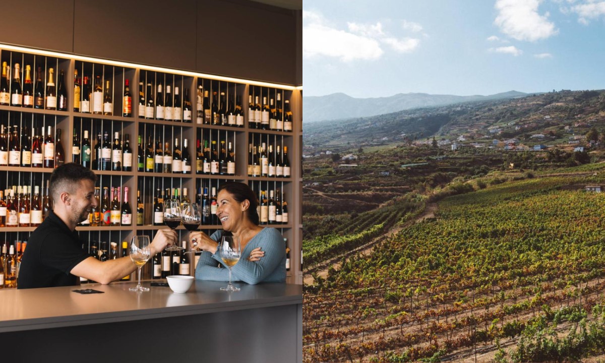 Wine tasting (left) and vineyards of Bodegas Tajinaste in Tenerife (right)