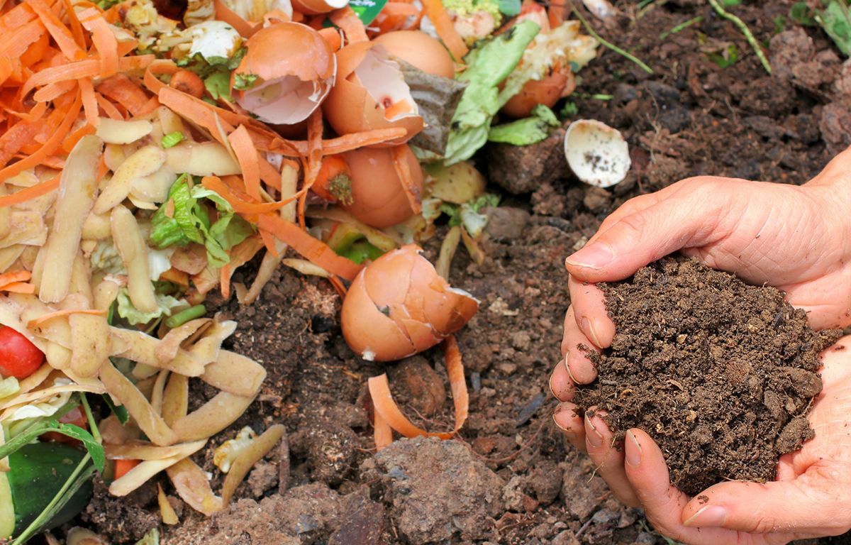 Organic waste for compost