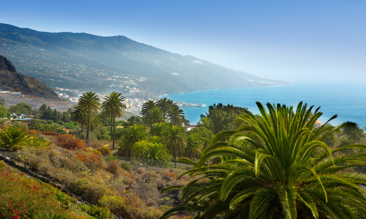 Costa de La Palma