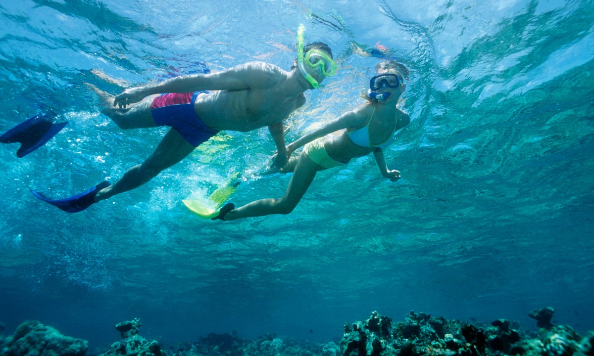 Two people snorkelling underwater in the sea