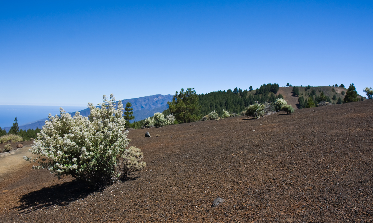 La Palma’s landscape under a clear sky