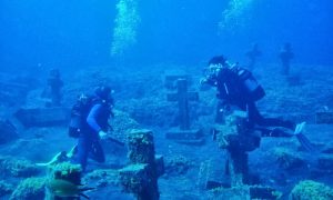 Bucea en La Palma y conoce las Cruces de Malpique