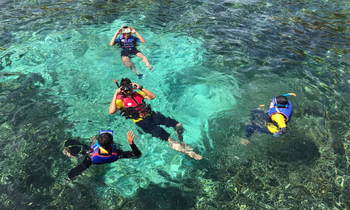 Group of people snorkelling in crystal-clear waters