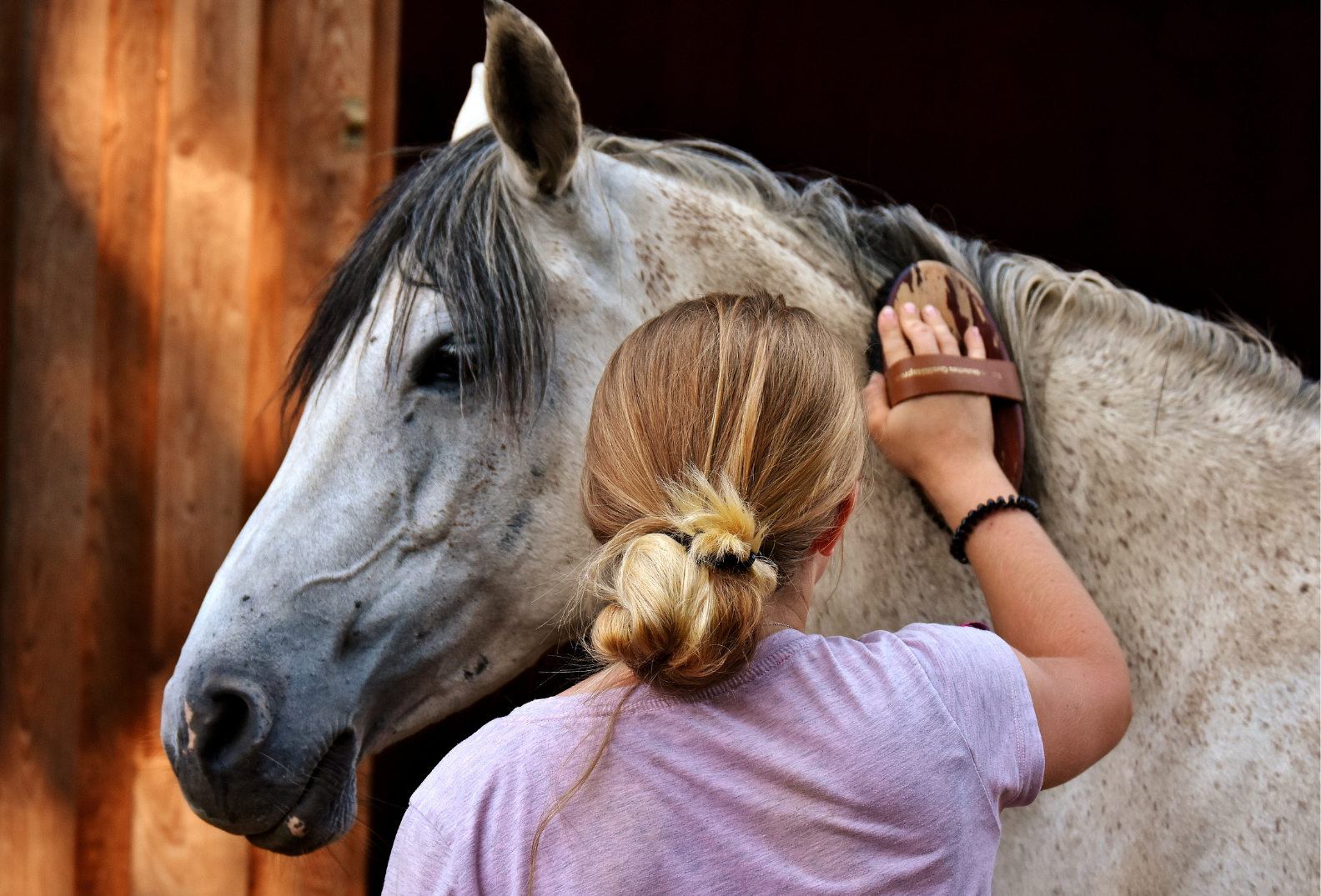 Horse riding in Maspalomas