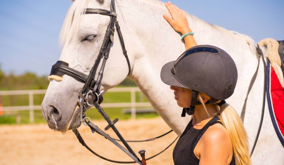 Horseback riding excursion Horseback riding excursion