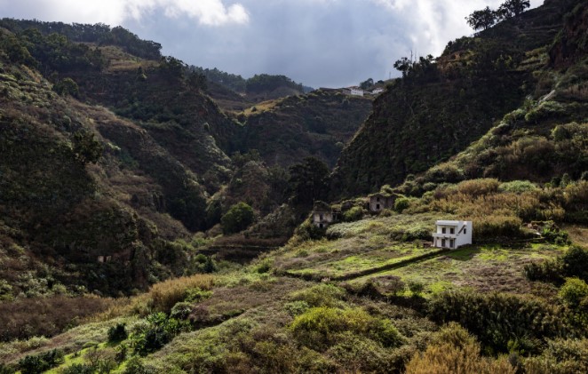 Paisaje del Barranco de Azuaje de Firgas