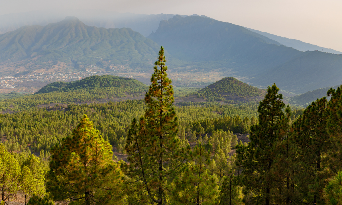 Caldera de Taburiente National Park, La Palma