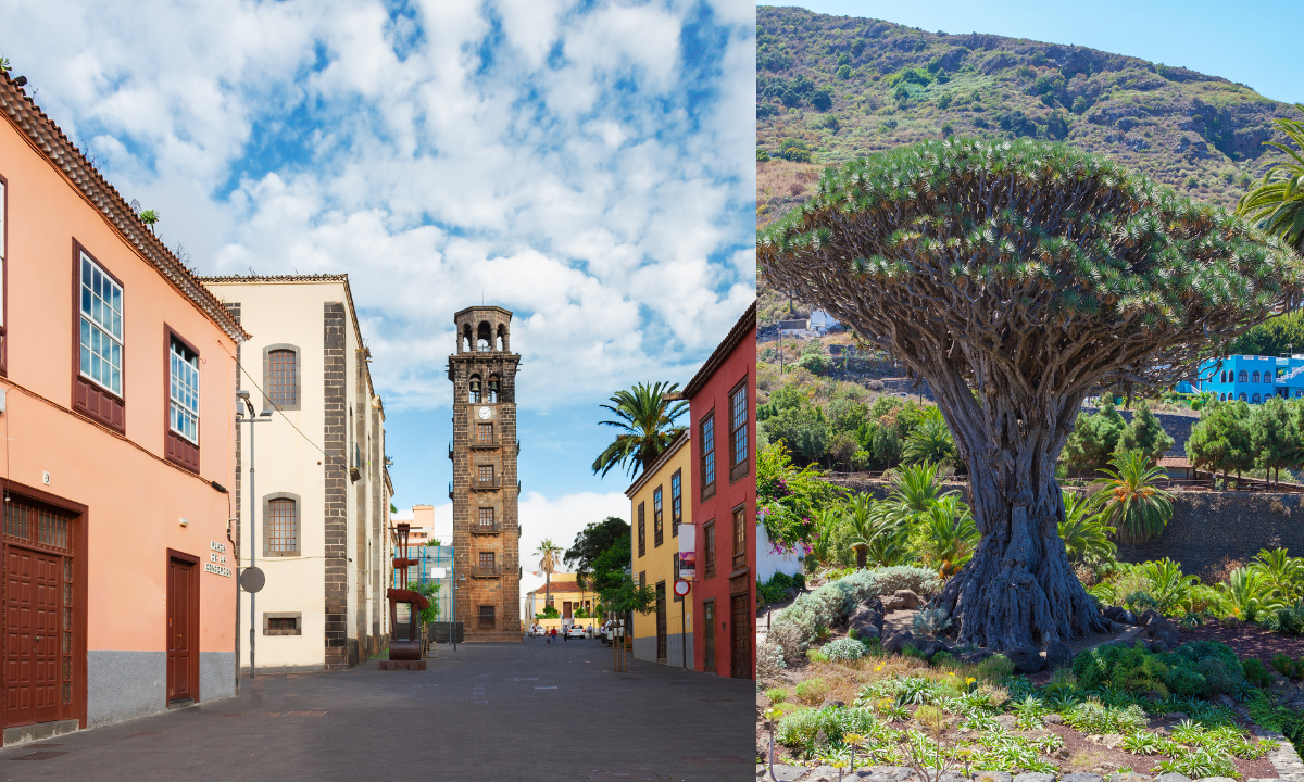 San Cristóbal de La Laguna and the ancient dragon tree in Icod de los Vinos