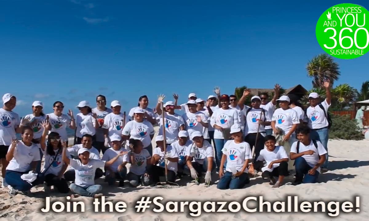 Sargazo-portada-1