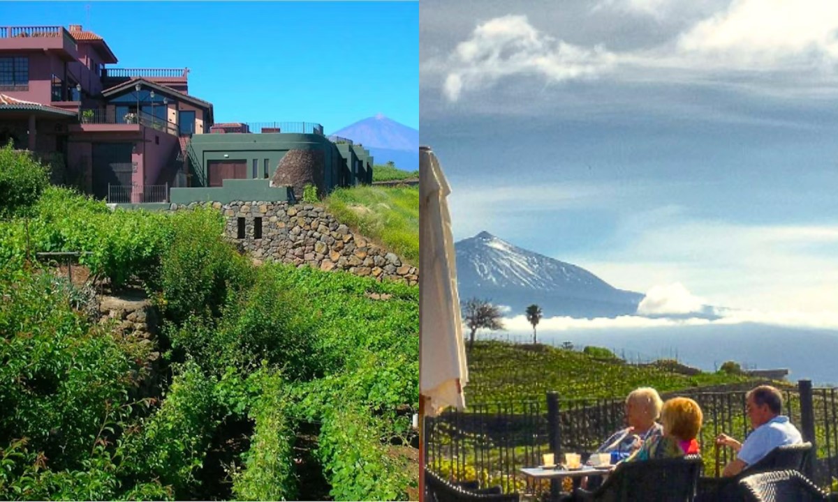 Vineyards and building of Bodegas Monje in Tenerife with views of Mount Teide and the sea