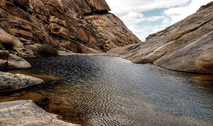 Aguas Verdes