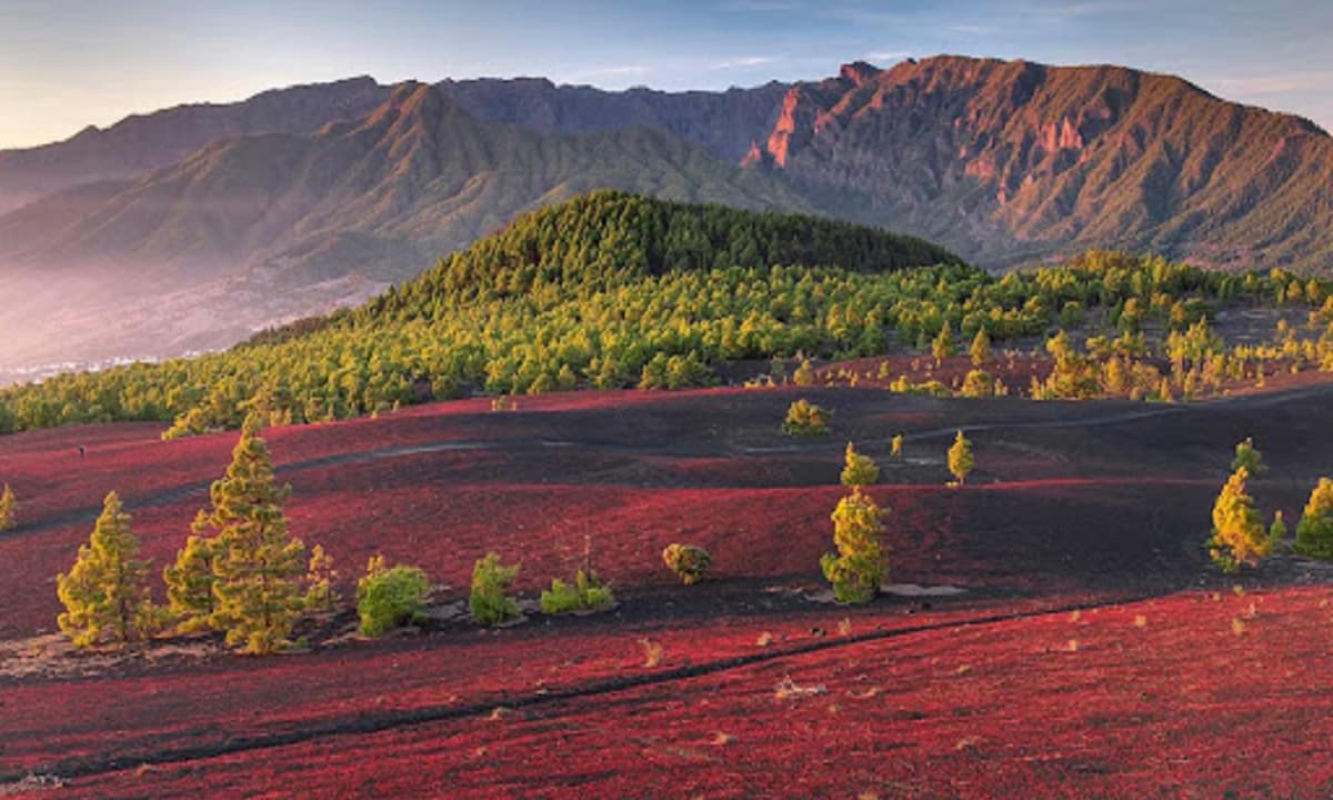La panorámica del Valle de Aridane desde el Llano del Jable enamora