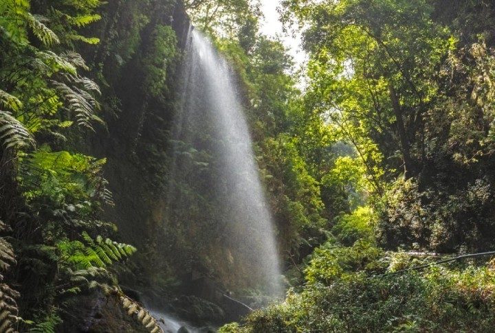 Die Sehenswürdigkeiten von La Palma: einer Insel voller Überraschungen