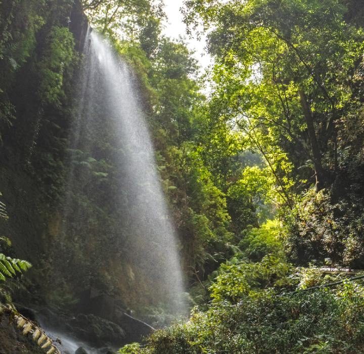 Die Sehenswürdigkeiten von La Palma: einer Insel voller Überraschungen
