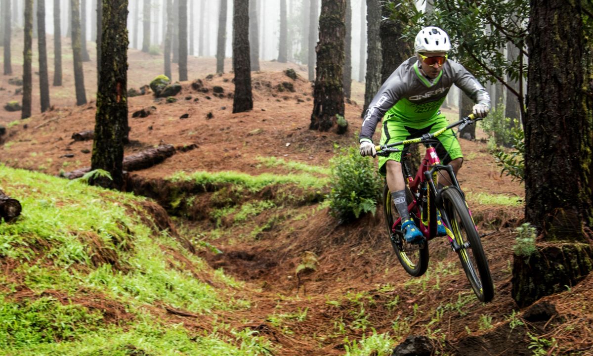 Cyclist mountain biking downhill through a pine forest trail on La Palma's cycling routes