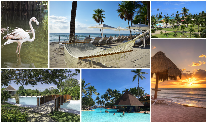 Travelife Gold Hoteles | Princess Hotels