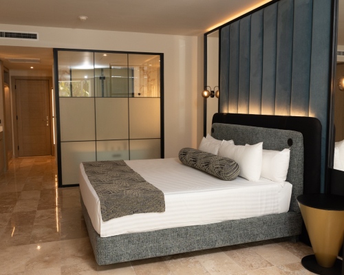 2-n-platinum-gallery