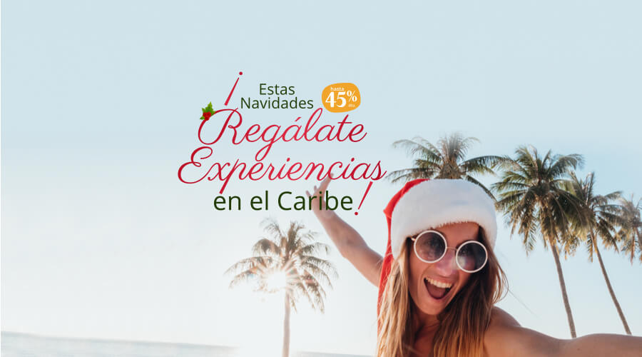 Especial Navidad y Fin de Año Especial Navidad y Fin de Año