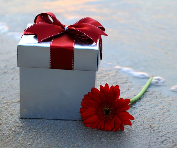 ¡Princess Canarias tiene un regalo de Navidad para ti! ¡Princess Canarias tiene un regalo de Navidad para ti!
