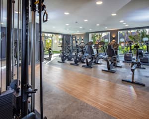 hotel playa maspalomas princess gran canaria gimnasio