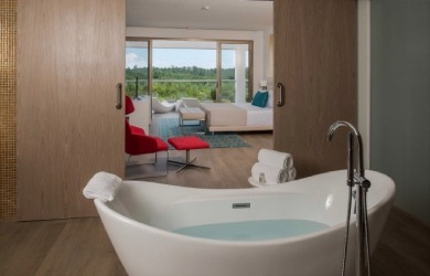 Platinum Yucatan Princess