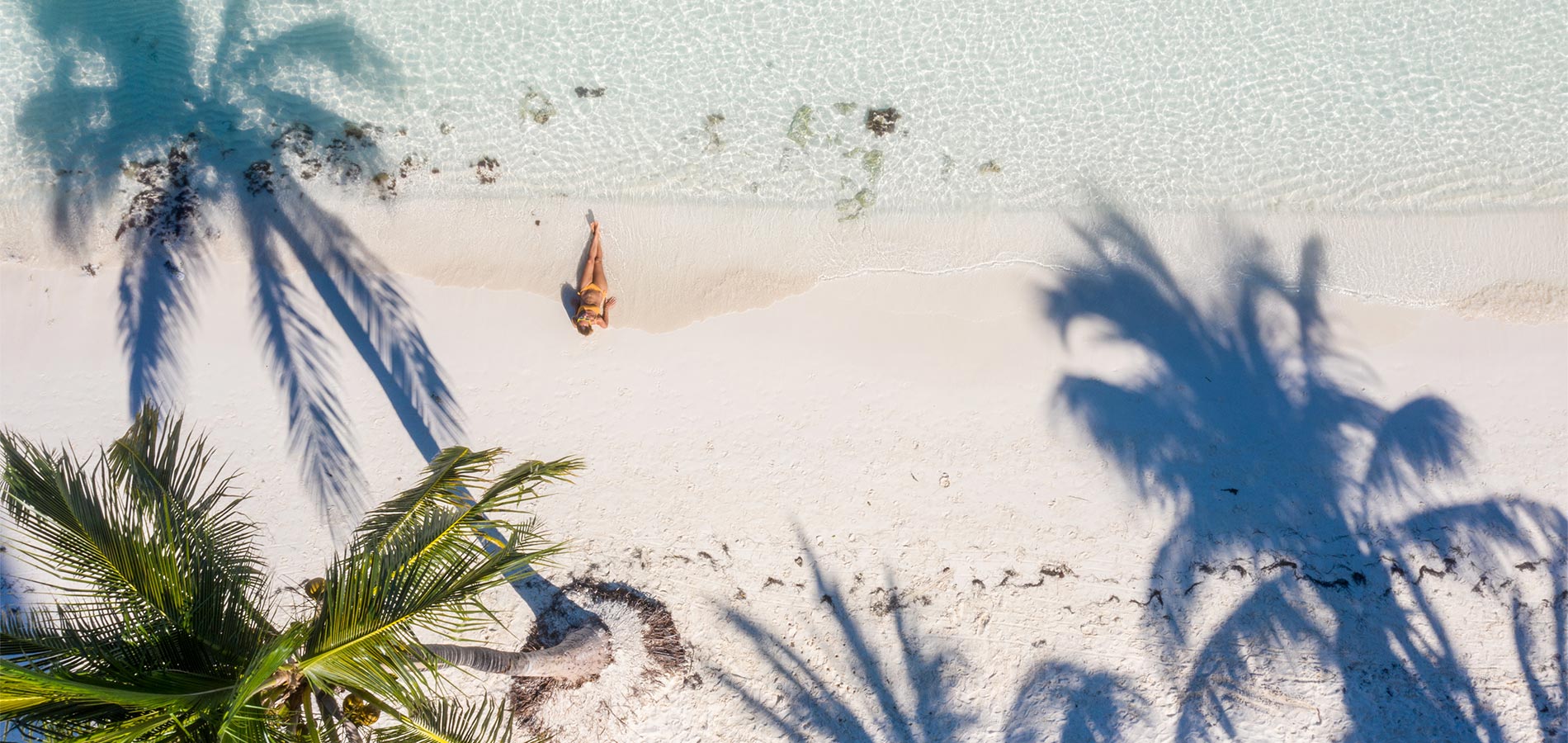 Punta Cana Punta Cana