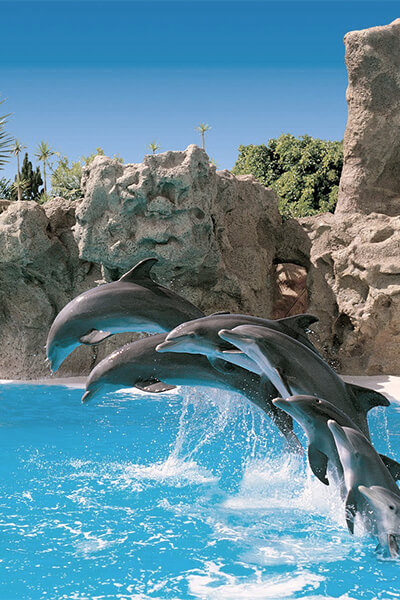 Tenerife
