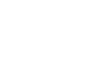 logo-IG-white