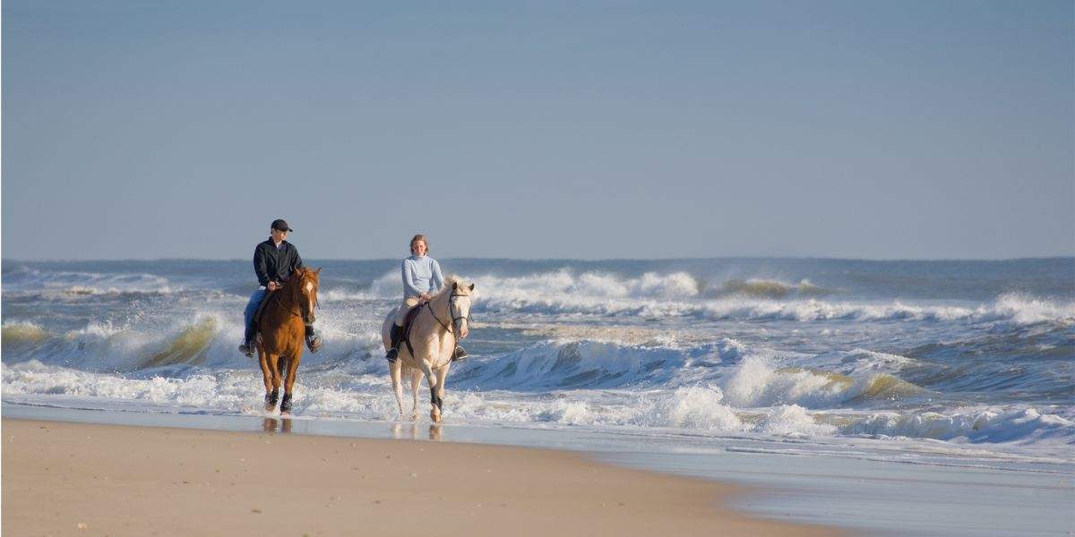 Horse riding in Fuerteventura