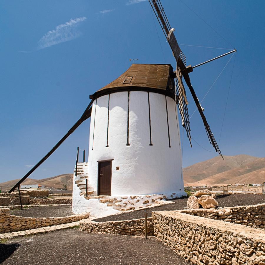 Tiscamanita in Fuerteventura