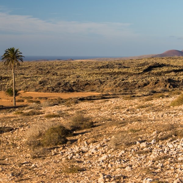 Malpaís de la Arena in Fuerteventura