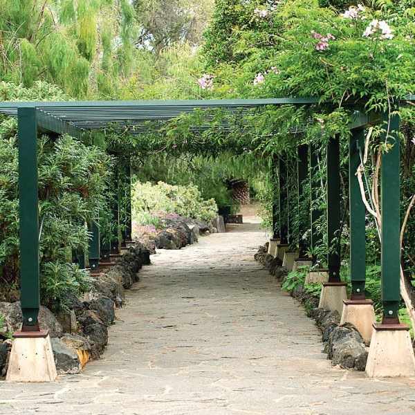 Jardín Canario auf Gran Canaria