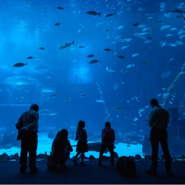 Poema del Mar, Gran Canaria