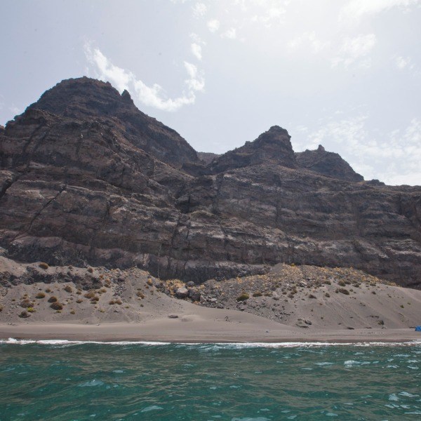 Güigüi en Gran Canaria