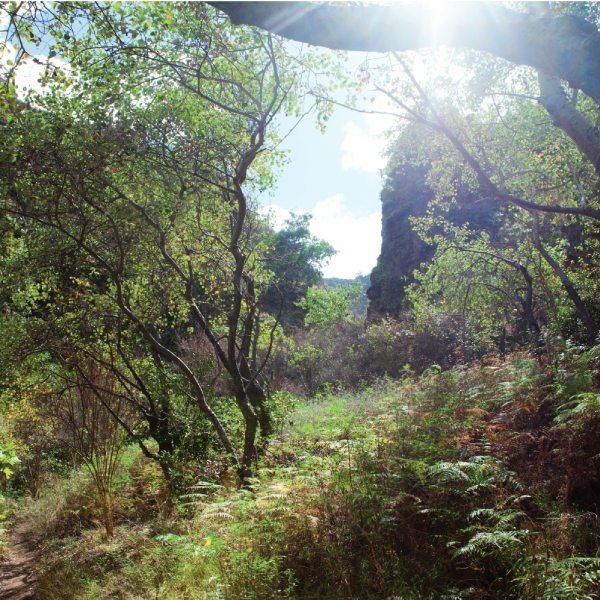 Barranco de Azuaje en Gran Canaria