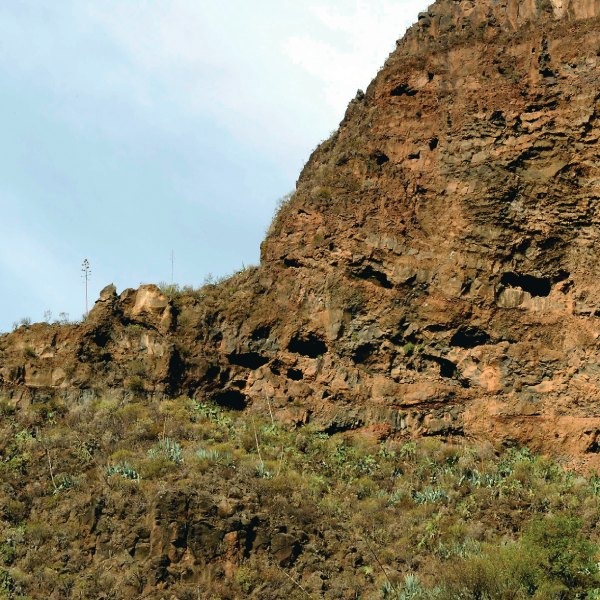 Guayadaque en Gran Canaria
